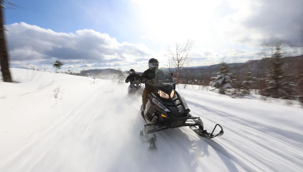 Engineered for the Frozen Wild